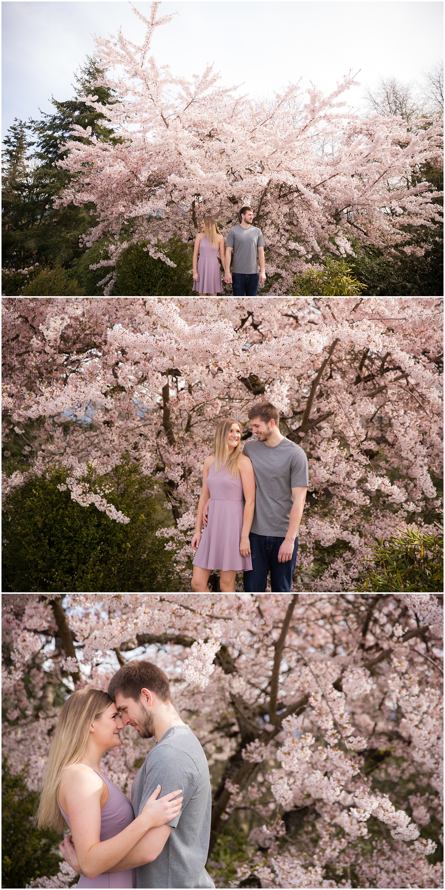 Amazing Day Photography - Cherry Blossom Engagement Session - Queen Elizabeth Park Engagement Session - Vancouver Engagement Photographer  (12).jpg