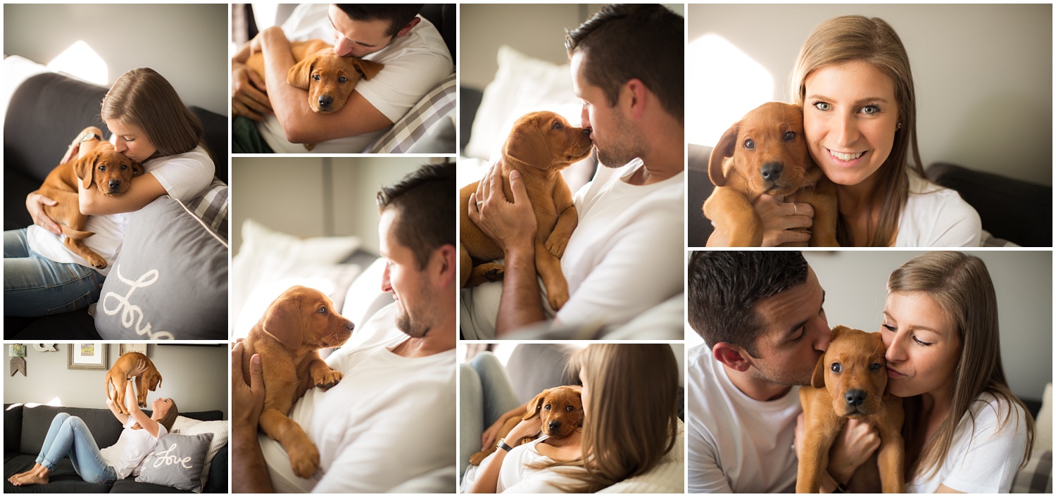 Amazing Day Photography - Puppy Newborn Session - Lifestyle Newborn Session - Dog Photographer (8).jpg