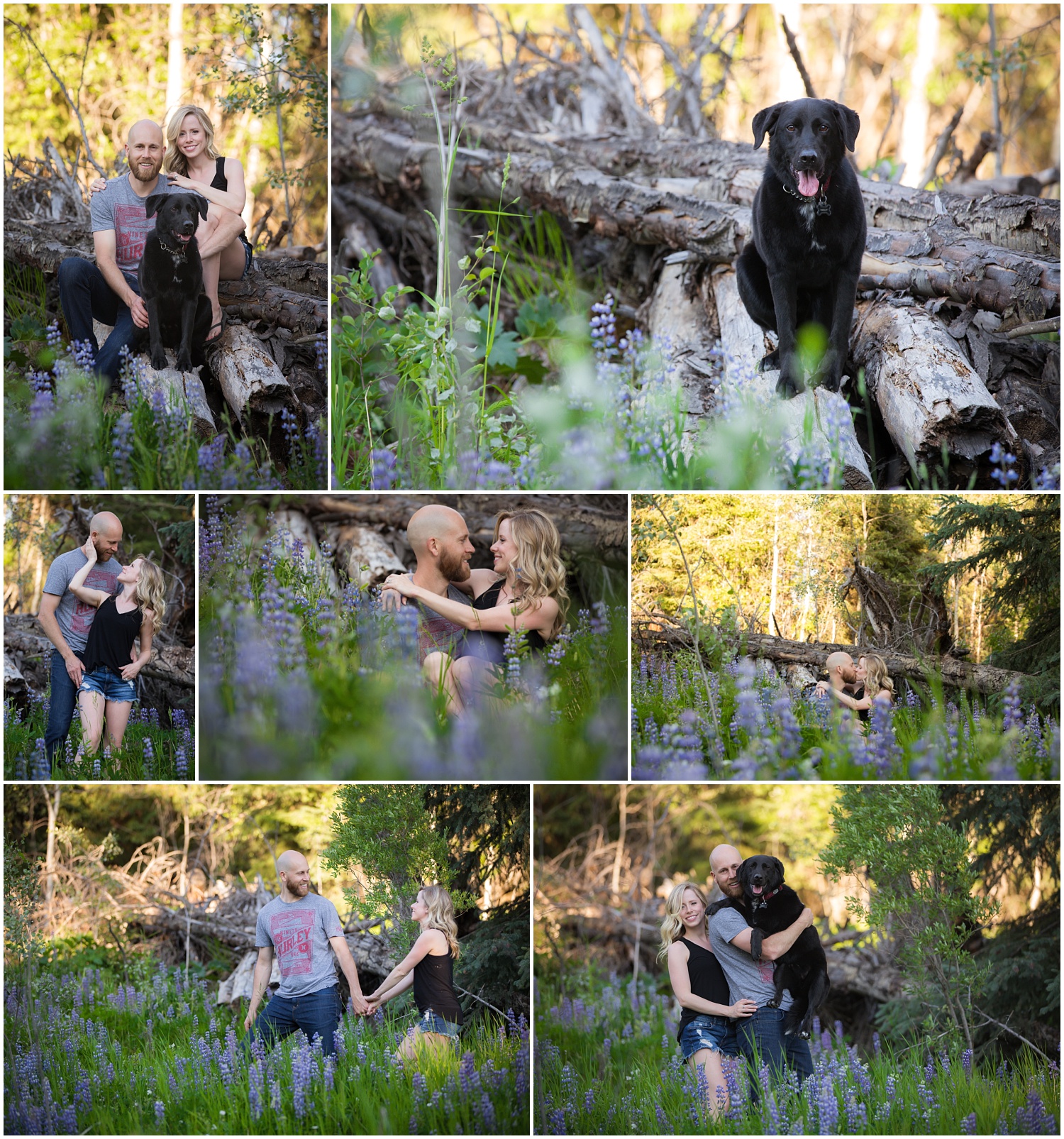 Amazing Day Photography - Cariboo Family Session - Doggy Session - Lac Des Roches Family Session (5).jpg