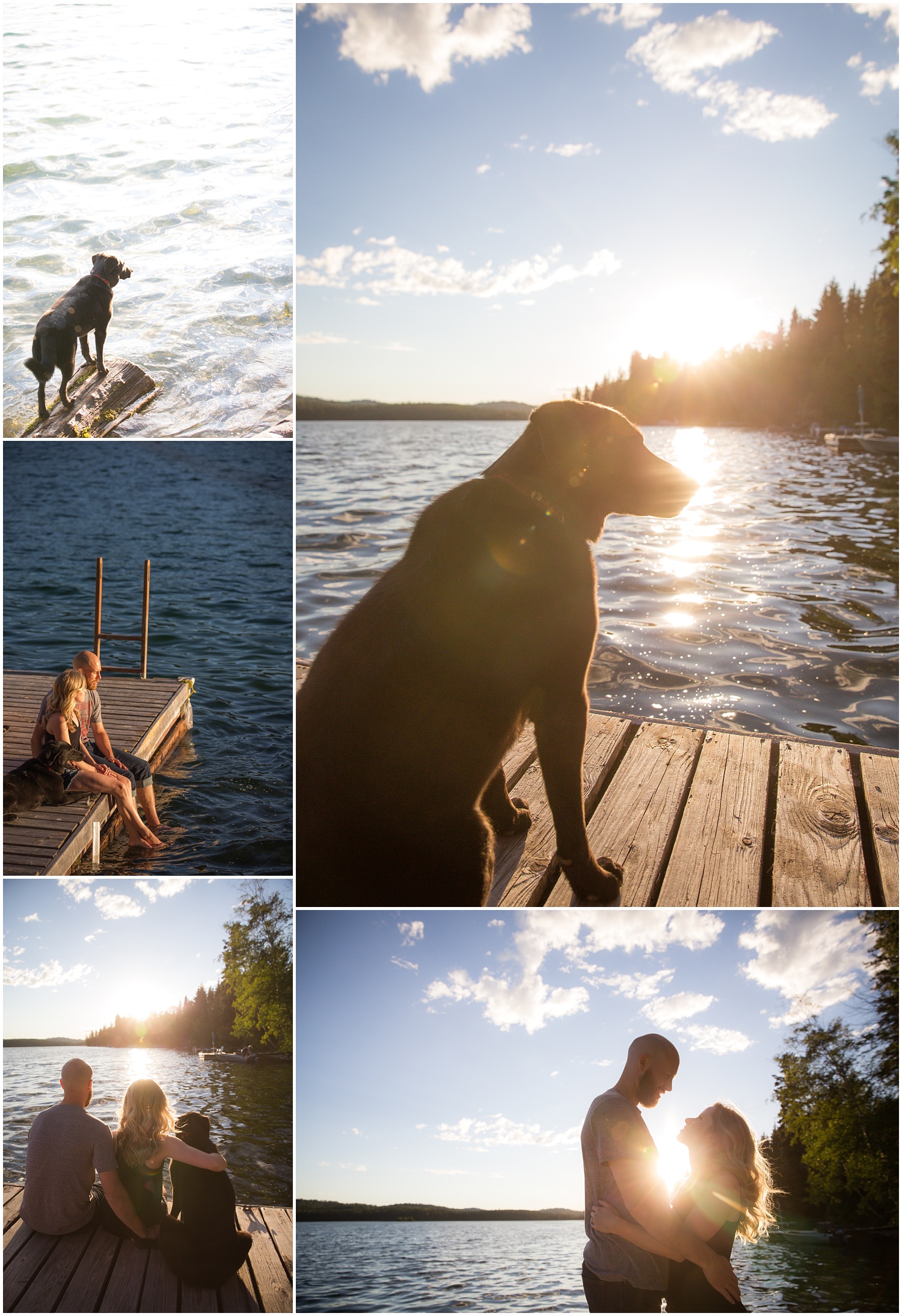 Amazing Day Photography - Cariboo Family Session - Doggy Session - Lac Des Roches Family Session (8).jpg