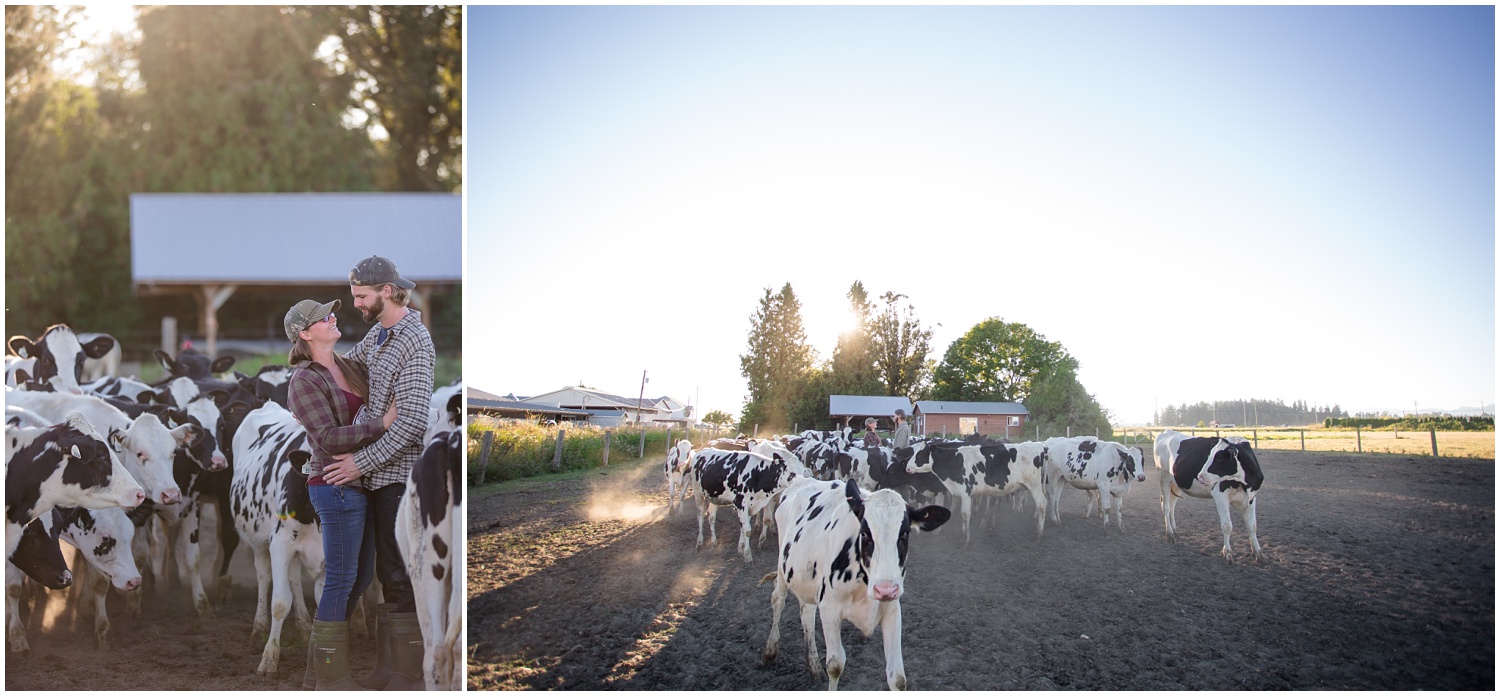 Amazing Day Photography - Dairy Farm Engagement Session - Langley Engagement Photographer (8).jpg