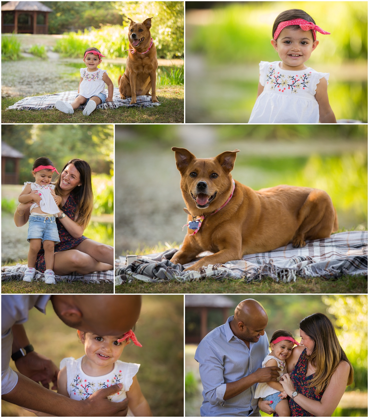 Amazing Day Photography - Langley Family Photographer - Campbell Valley Park Family Session (1).jpg