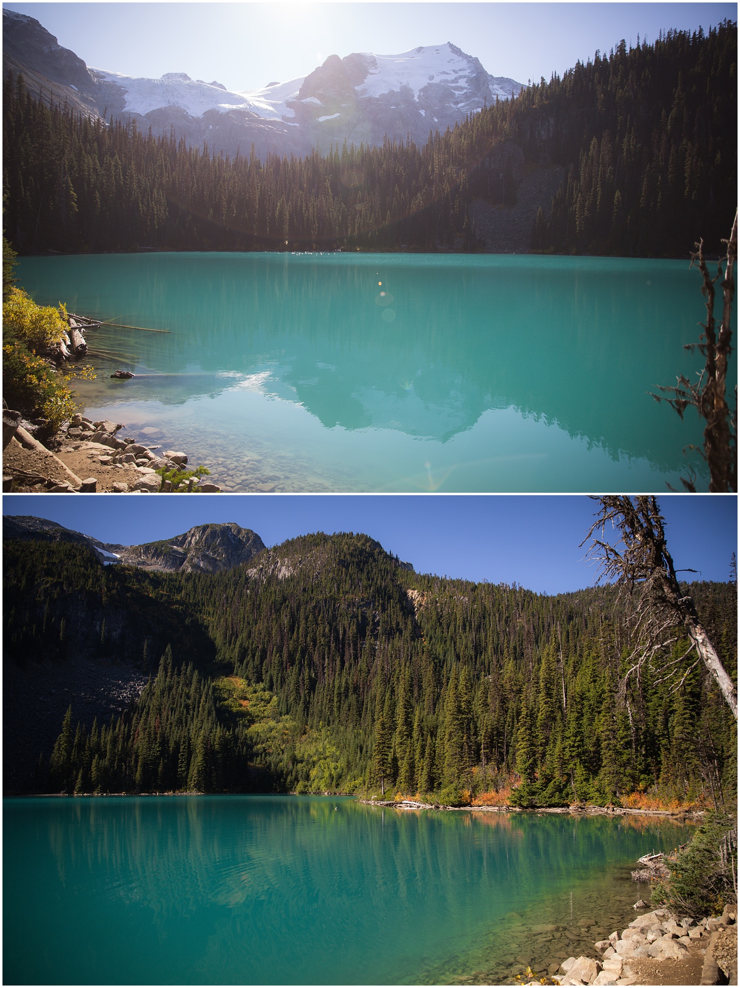 Amazing Day Photography - Joffre Lake Hike  (2).jpg