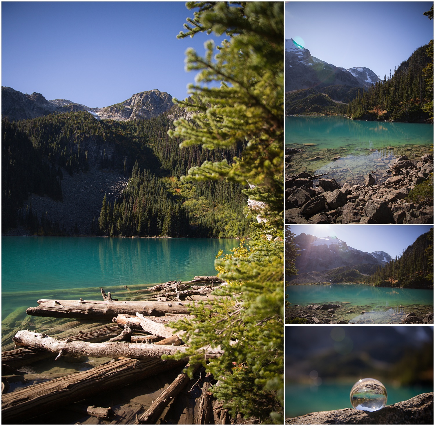 Amazing Day Photography - Joffre Lake Hike  (3).jpg