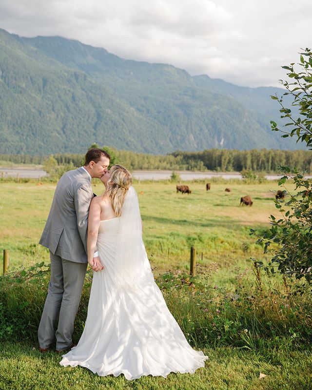 Just an amazing couple hanging out with the bison @fraserriverlodge_weddings