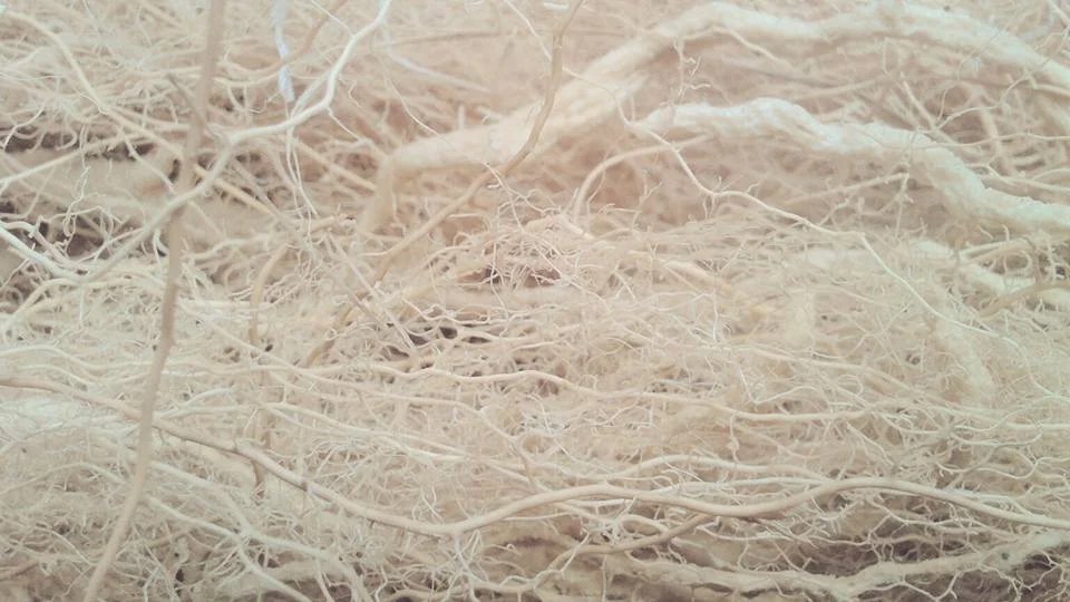 PETRUS MAR 1 Natural fibre.jpg