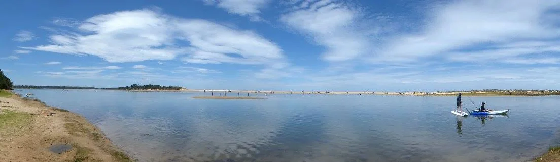 15972556_10154997108874752_8077106247068490412_o.jpg