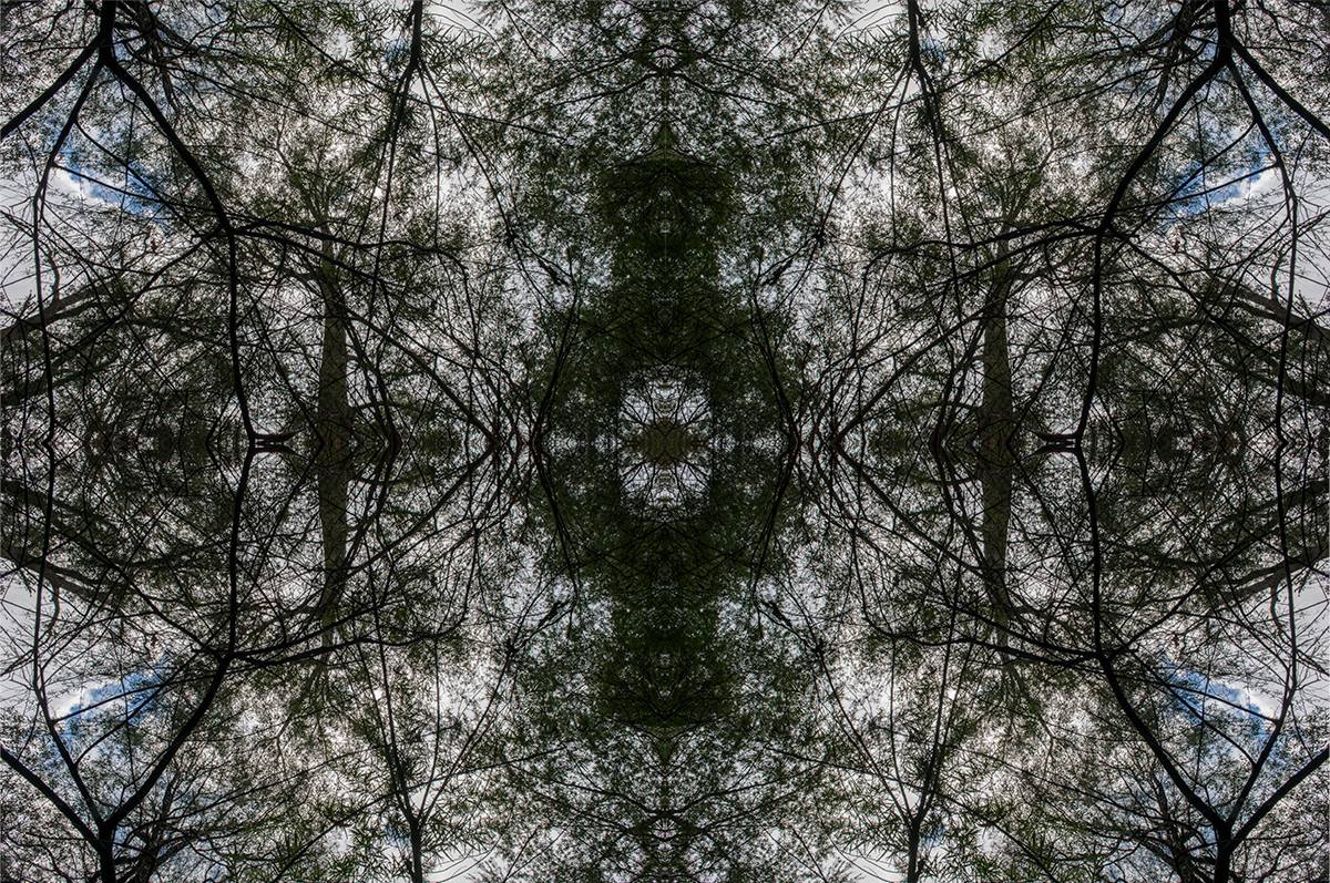 17492649_10203410667065245_6012665191794623119_o.jpg