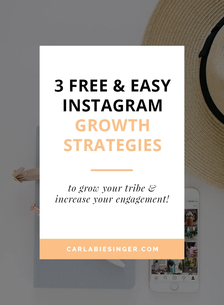 3 free & easy Instagram strategies to grow your tribe WITHOUT spending all day on the app! Carla Biesinger #Instagramtips #bloggingtips