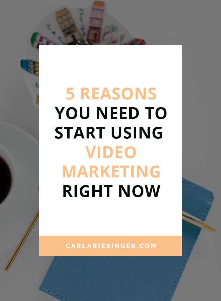Carla Biesinger, online marketing consultant