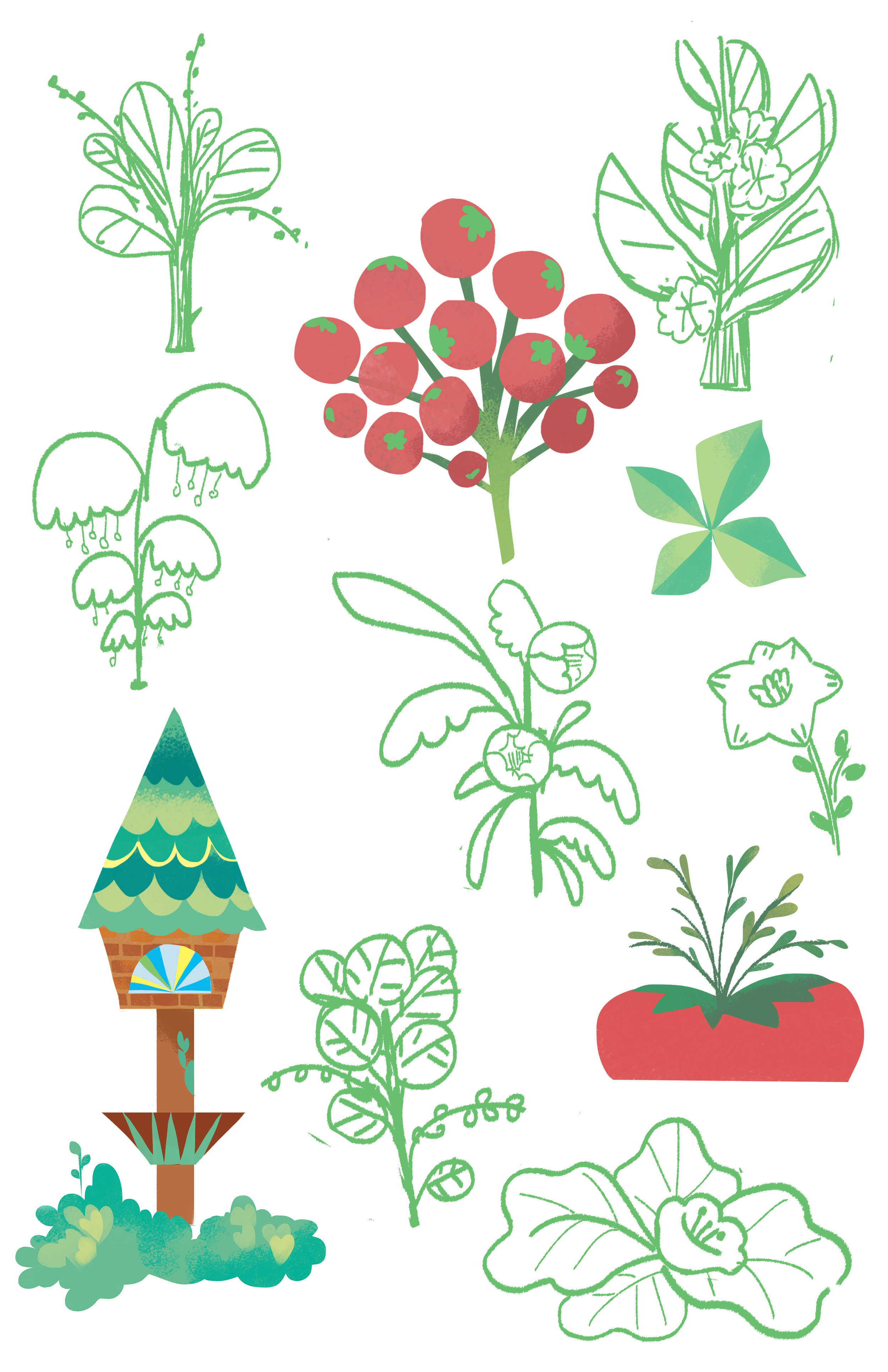 plant study2.jpg