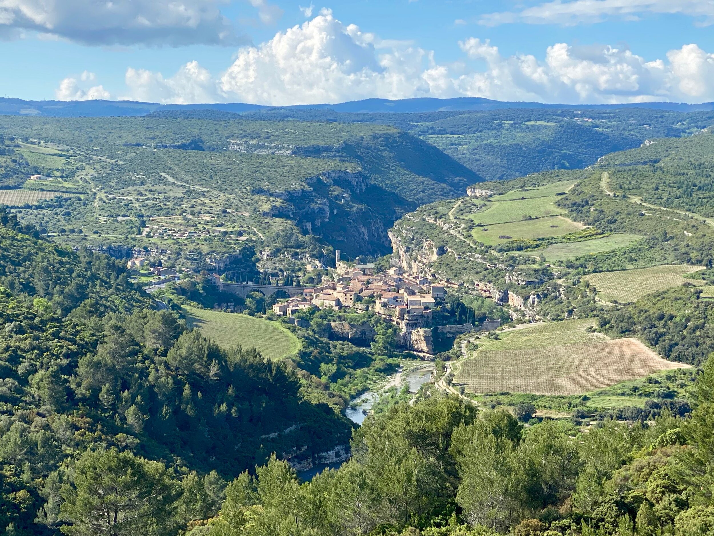 Minerve8.jpg