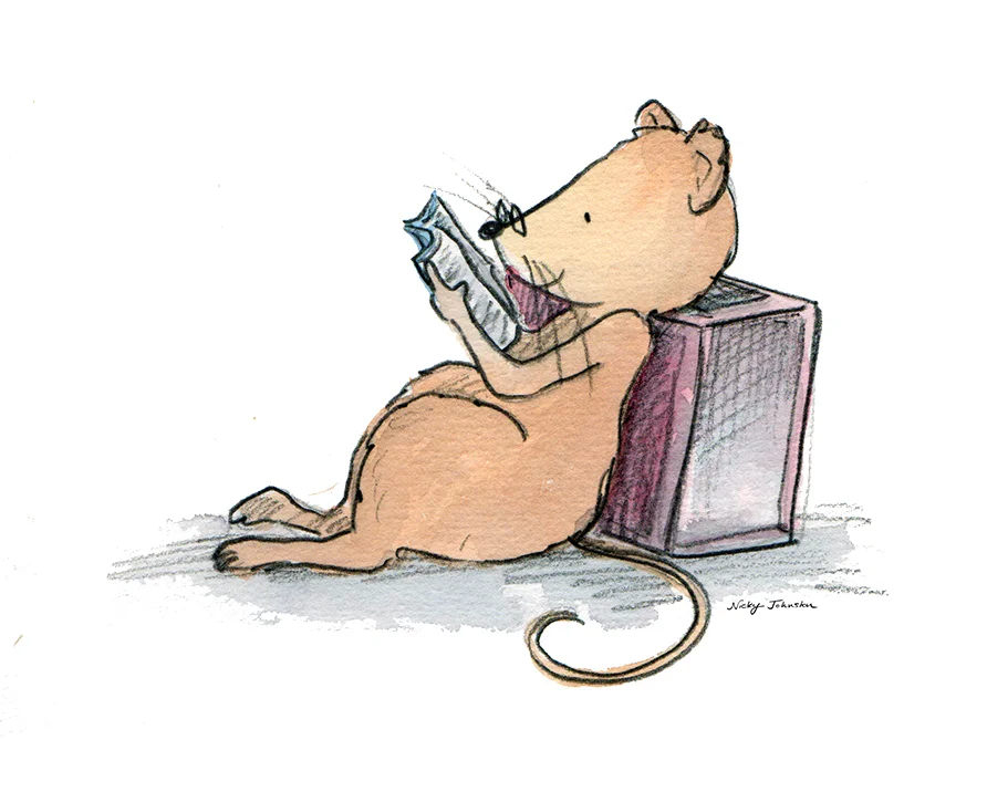 reading.jpg
