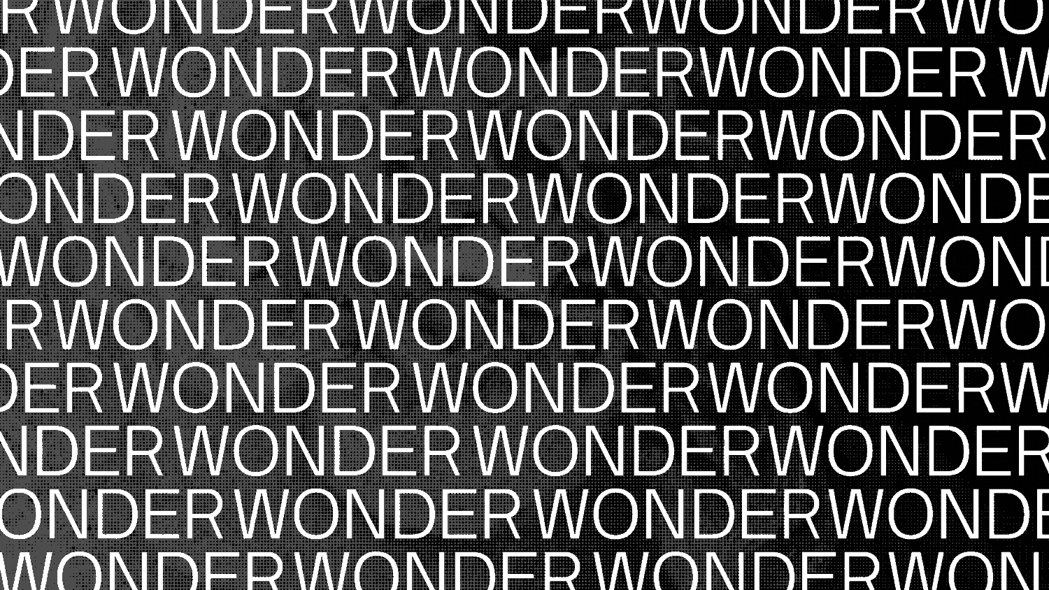 WonderGif.gif