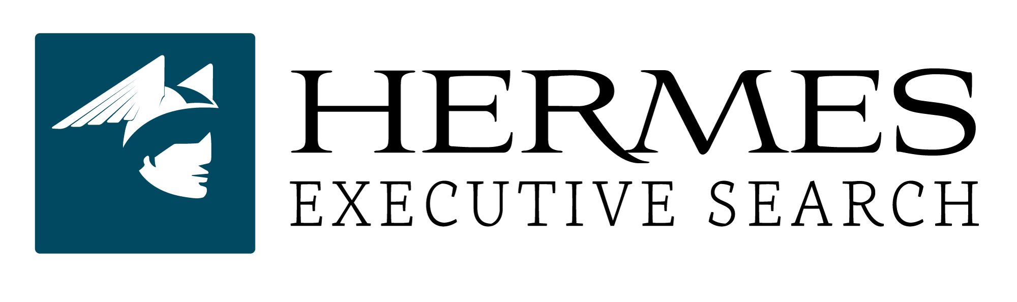  Hermes Executive Search
