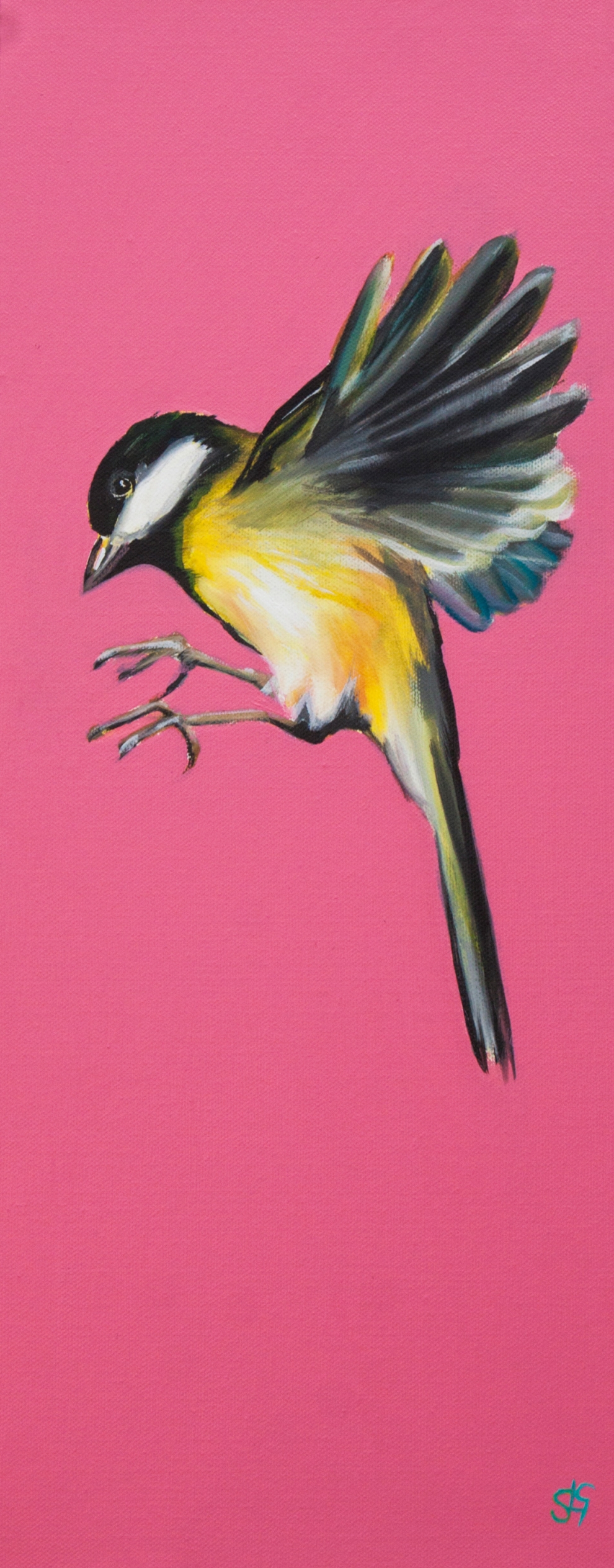 Great Tit Pink (Cassie) - 20x60cm