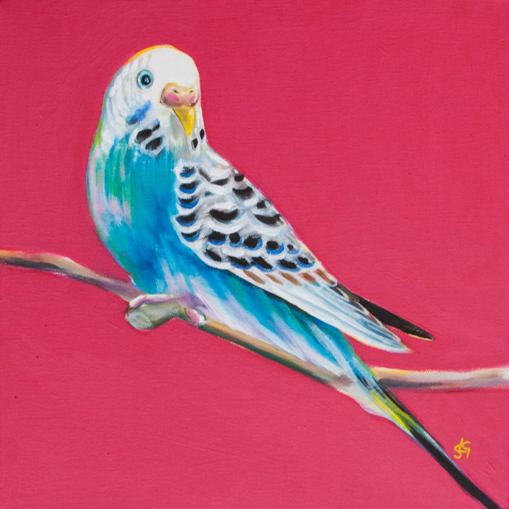 Budgie Rose 2 (Cassie) 30x30cm