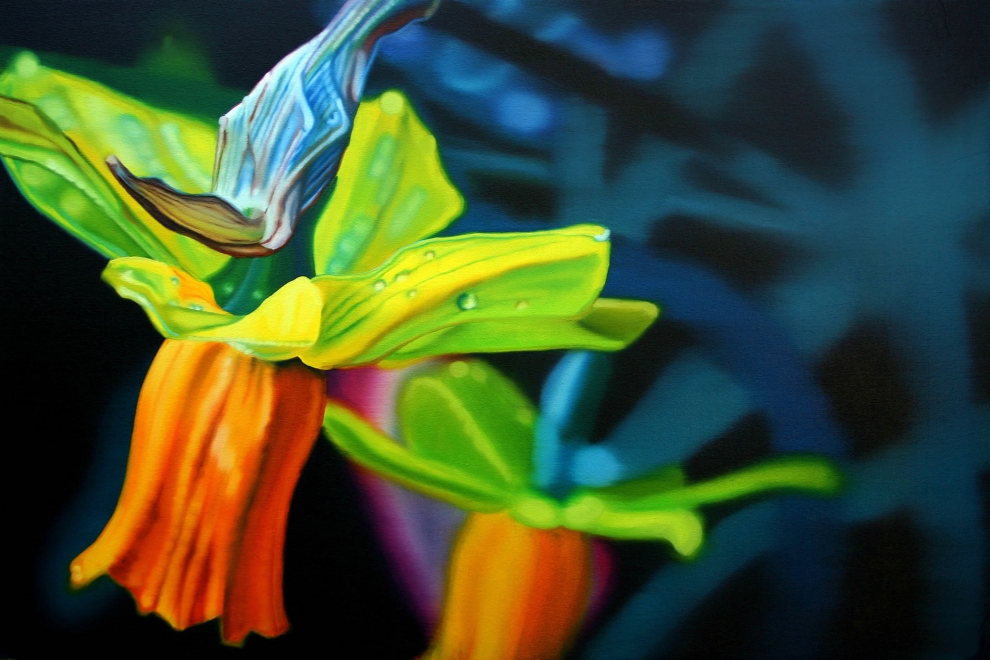'Daffodil' oil on canvas - 60x90cm