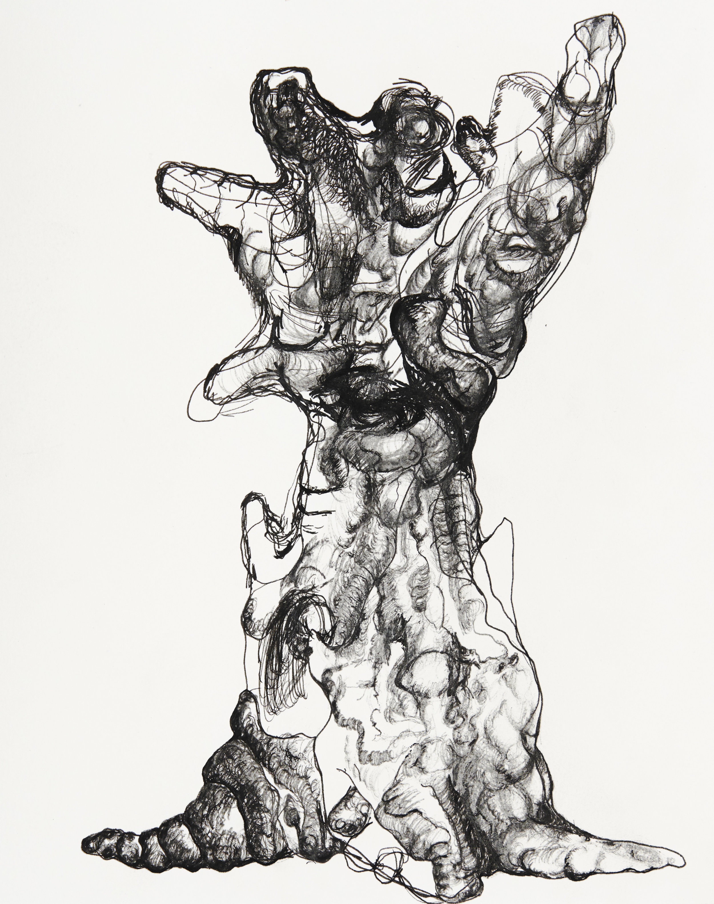  Magma tree, 2018                                                                                                        24 x 30 cm, Ink pen on paper 