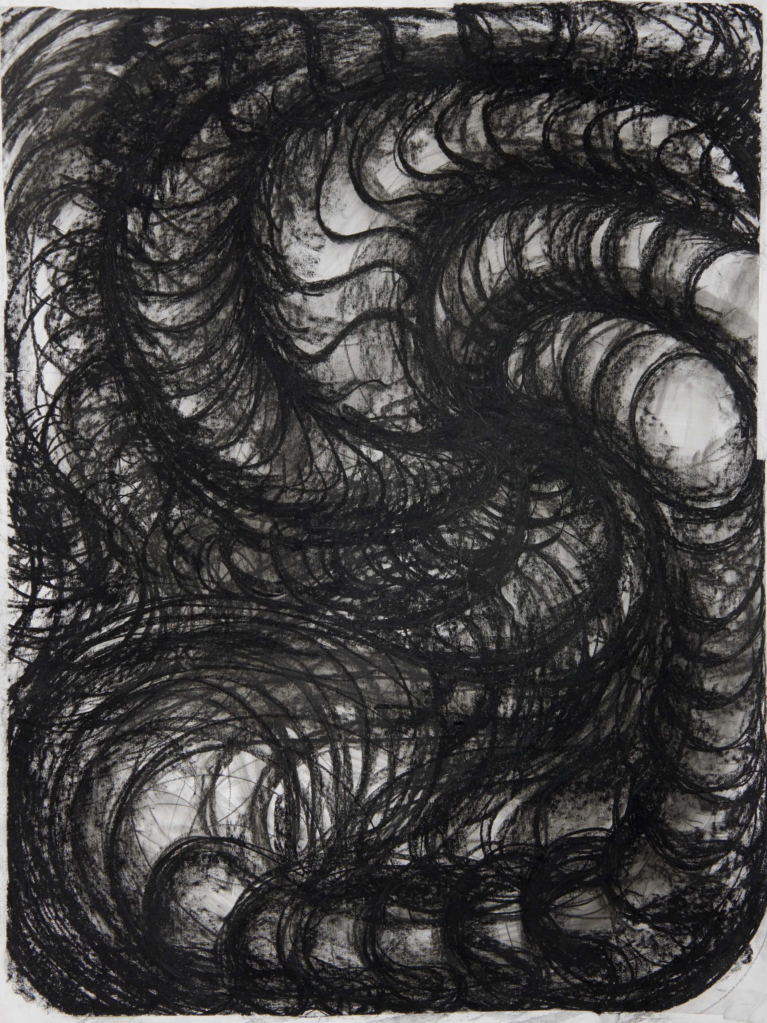  Vortex Study, 2018 135x 100 cm charcoal on paper 