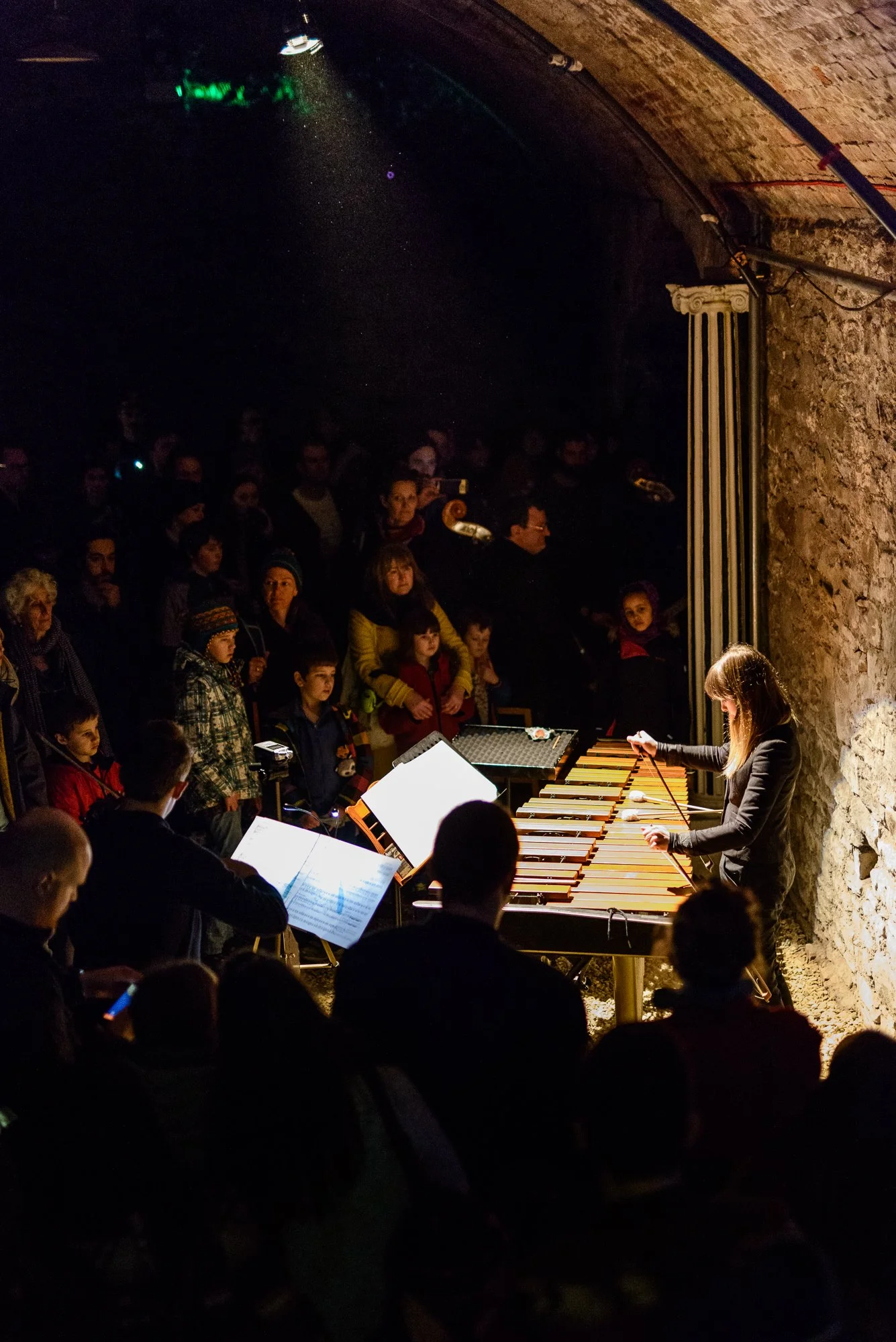 Insight Ensemble goes Under the Sea