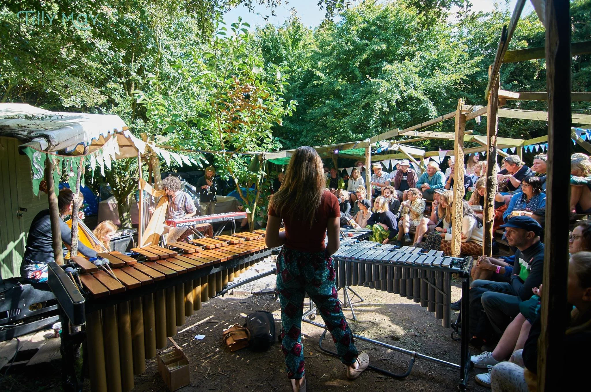 Spindle Ensemble at Hallr Woods (Twilight)