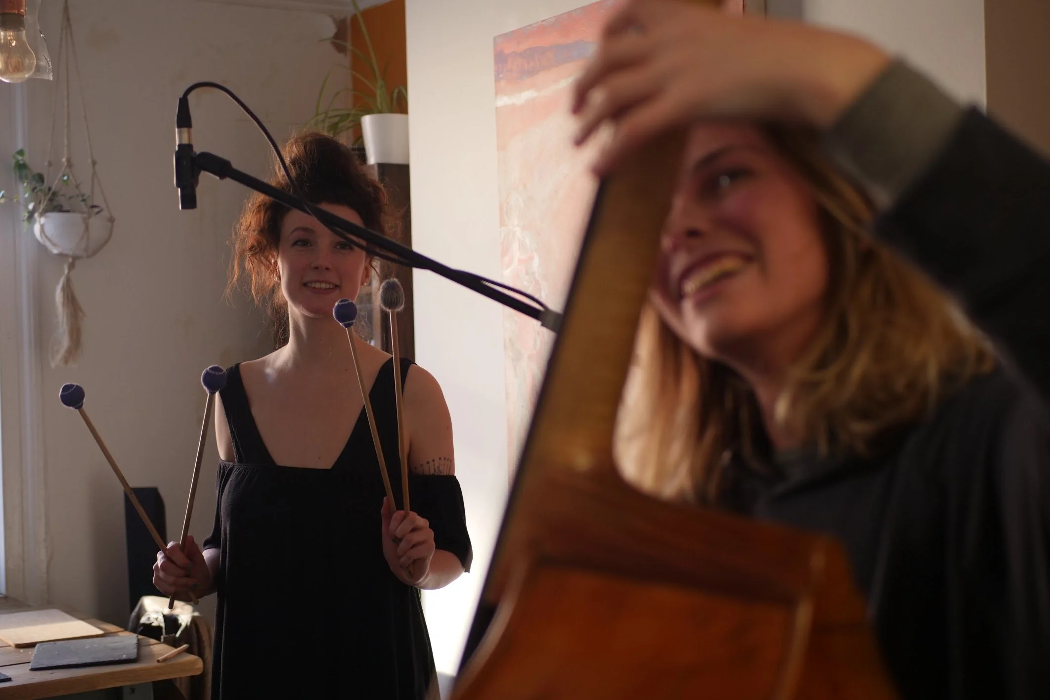 Stevie Toddler Presents: Tryani Collective at the Gallimaufry