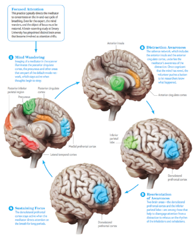 Courtesy of Scientific American © 2014