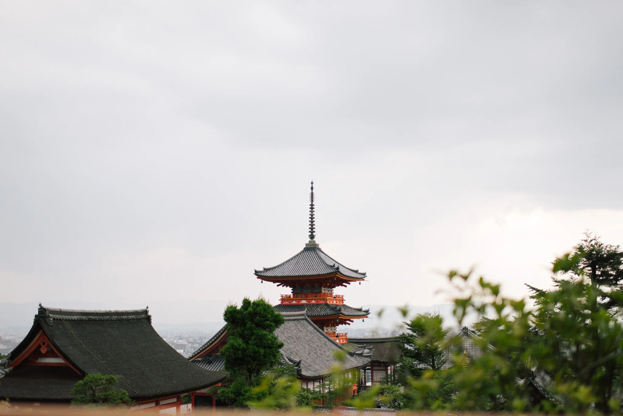 DSC_8755.jpg