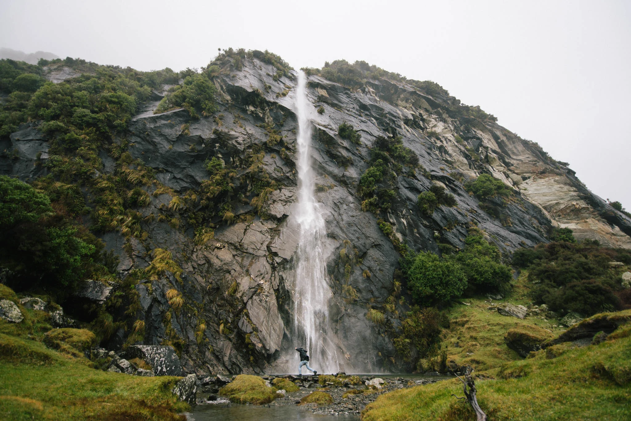 DSC_7712.jpg