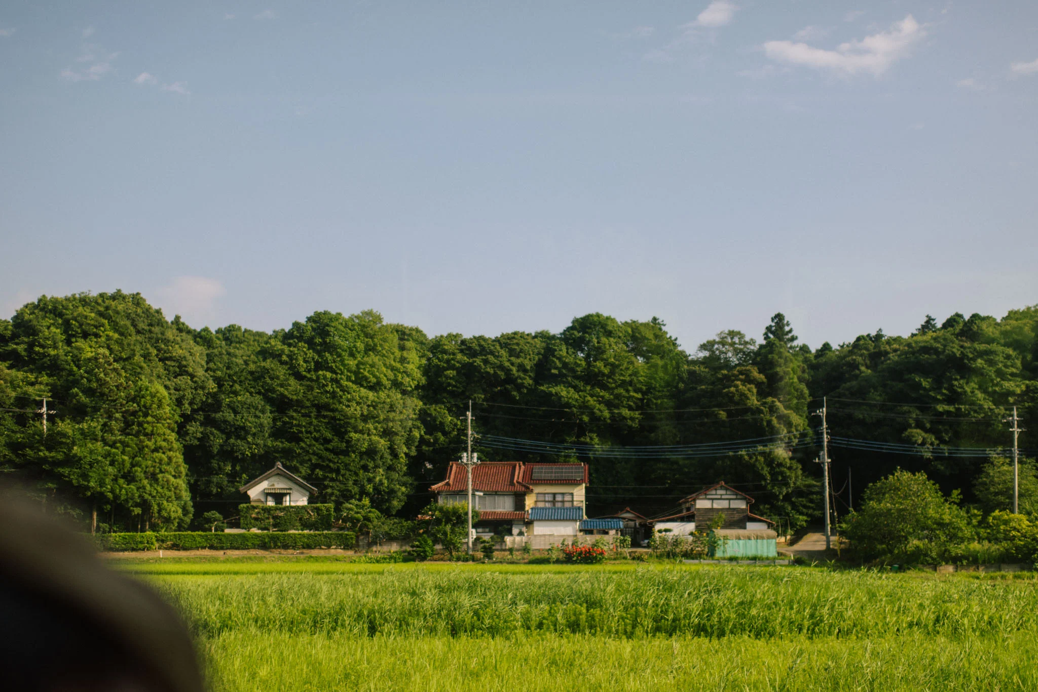 DSC_1027.jpg