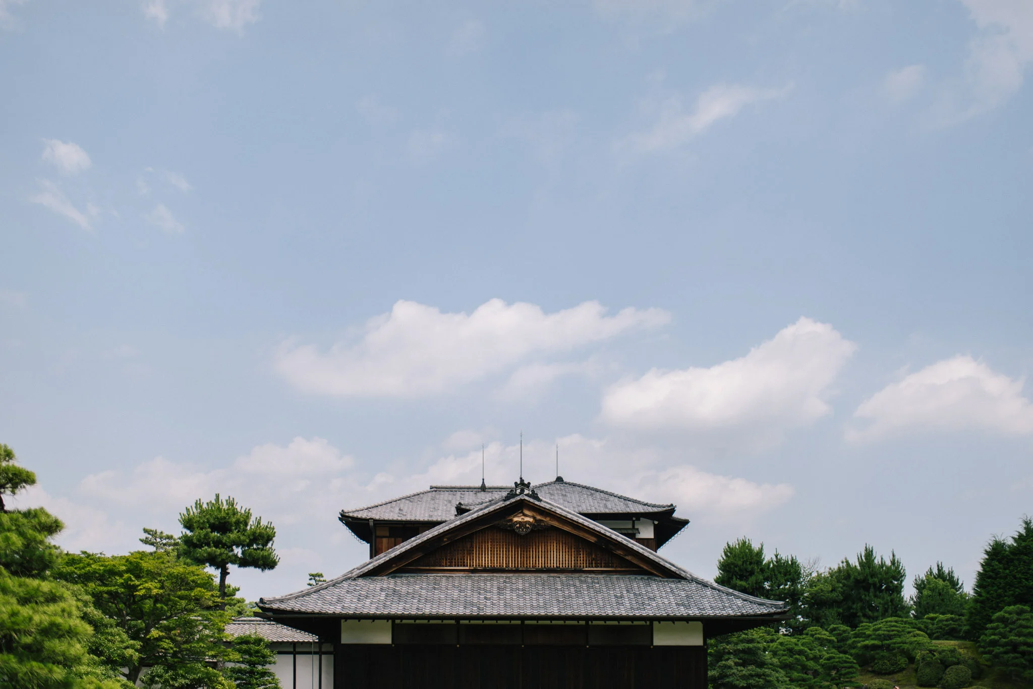 DSC_8666.jpg