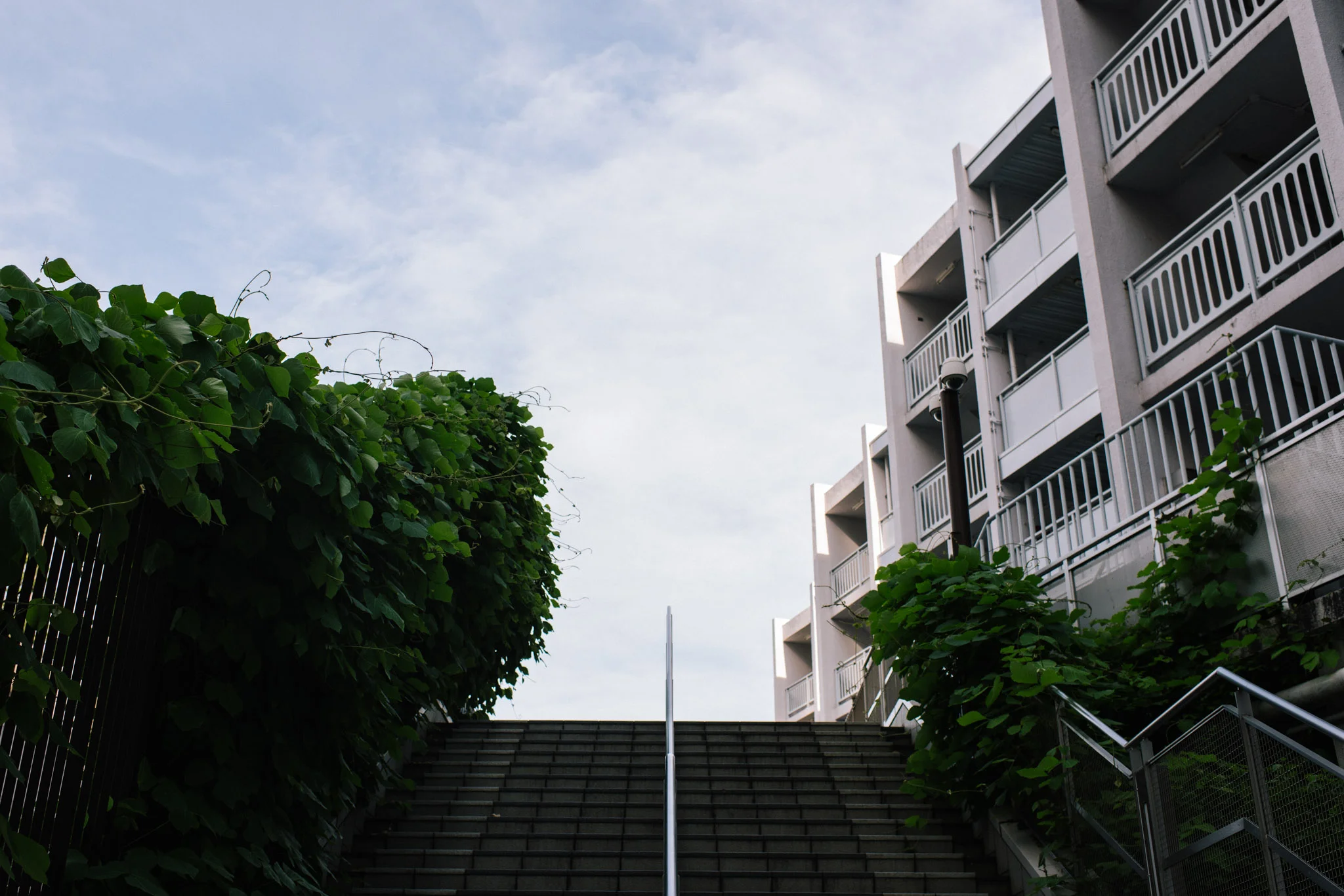 DSC_9853.jpg