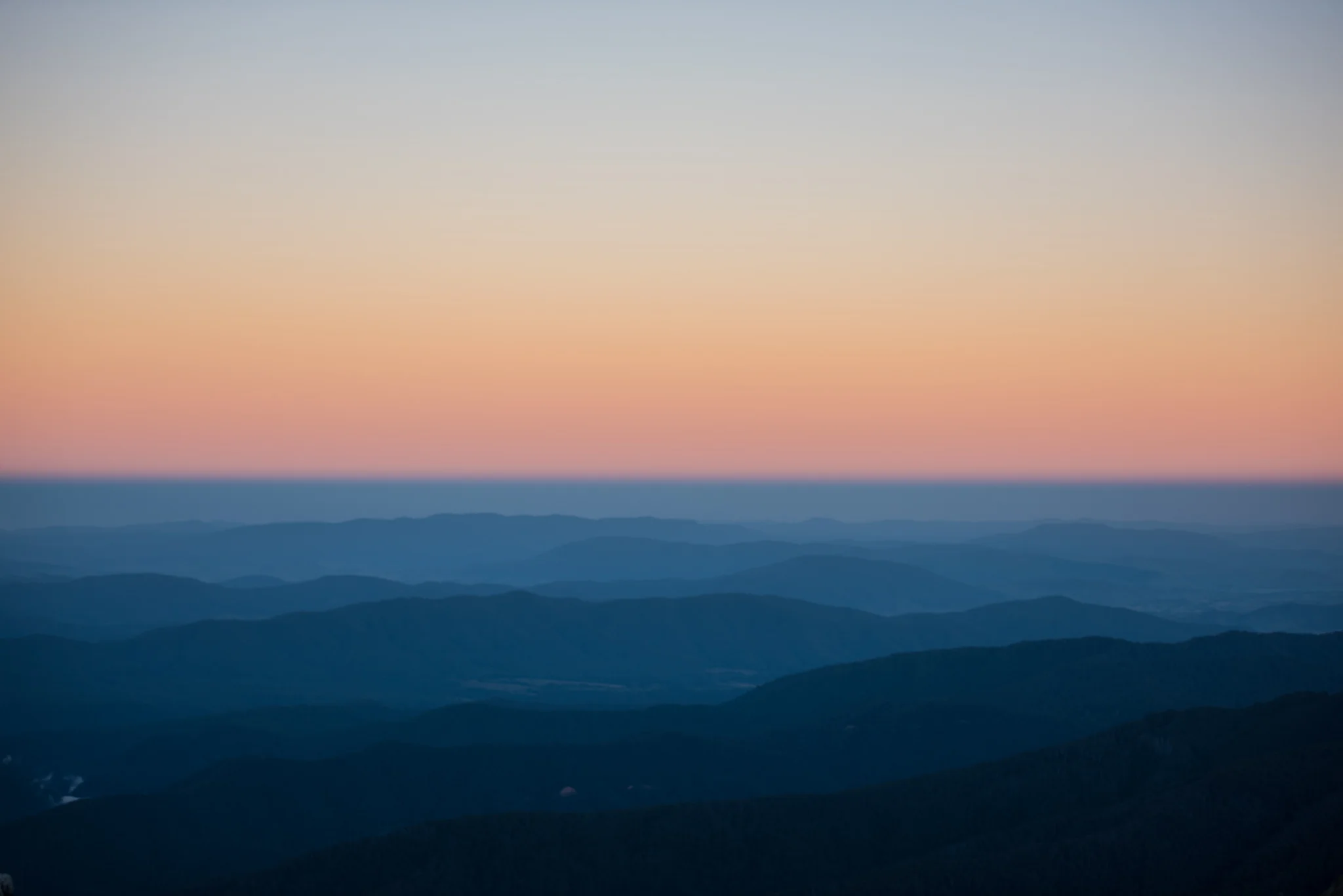 DSC_7979.jpg