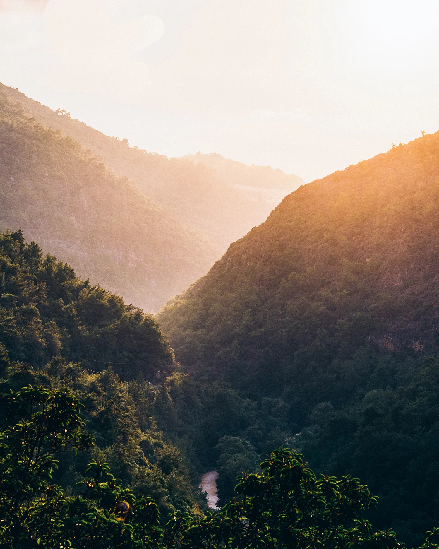 ramy-kabalan-788060-unsplash-2_LR.jpg