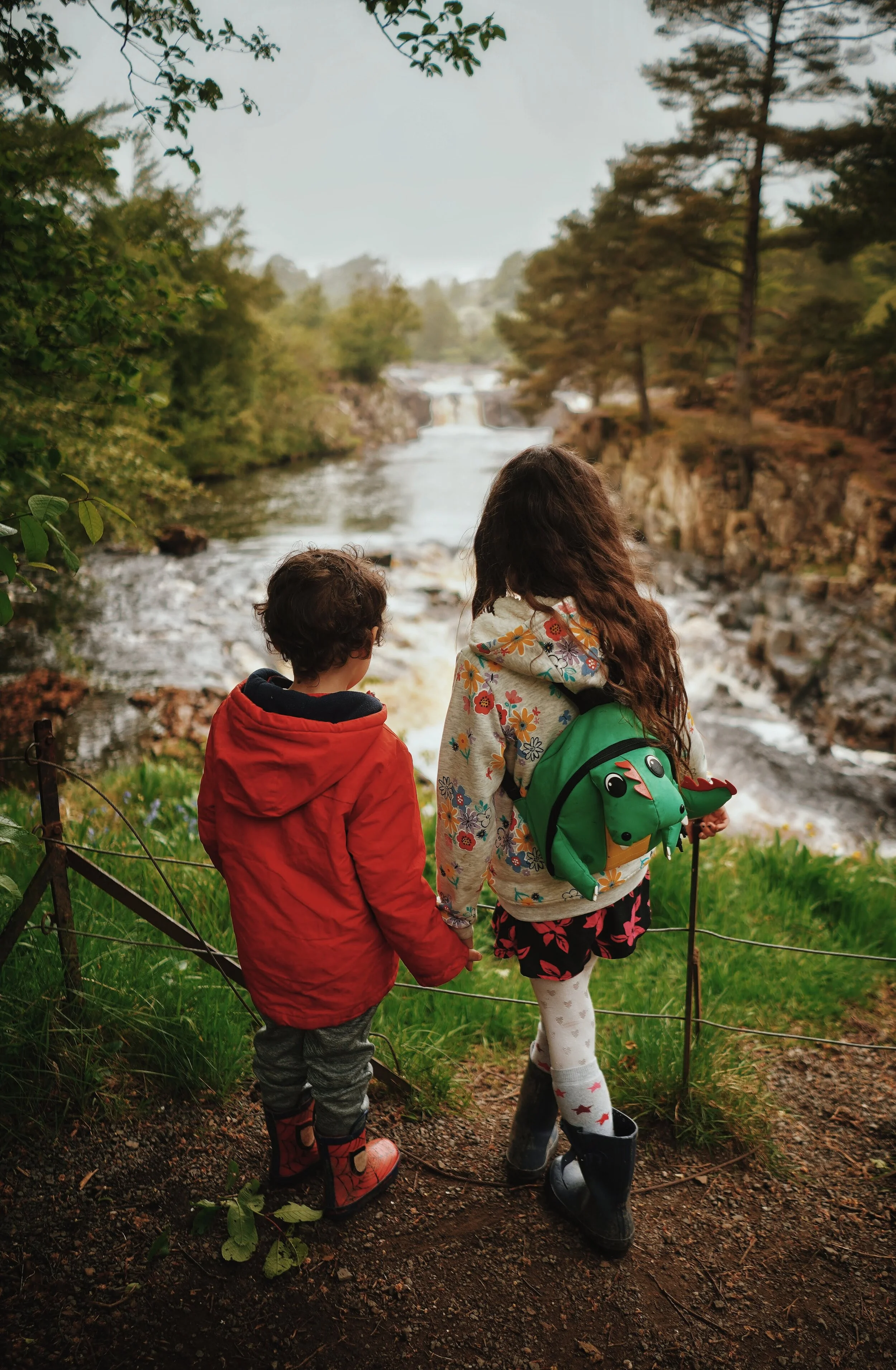 2019-05-30 07.47.14 3.jpg