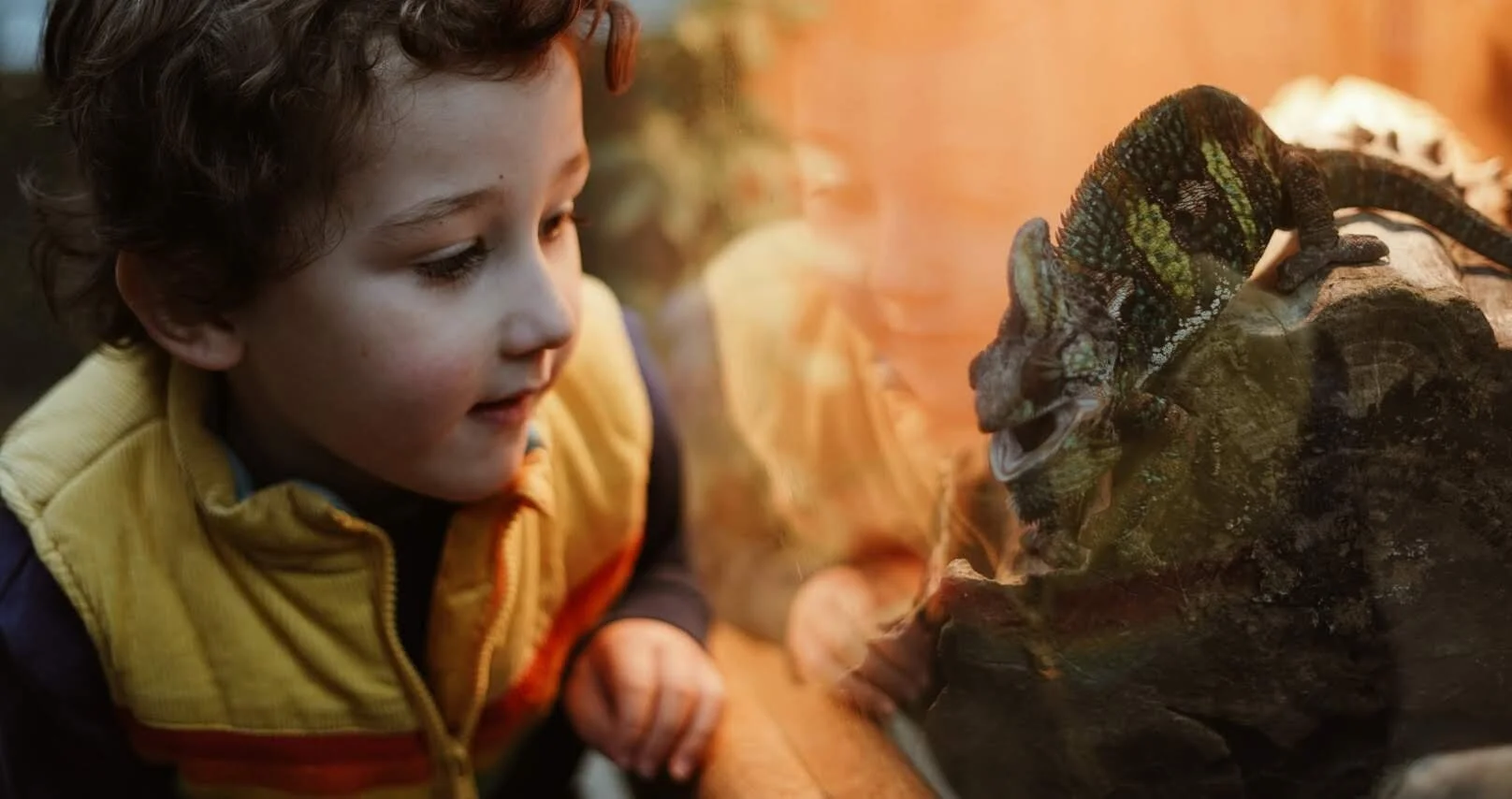 2018-11-11 04.20.13 2.jpg