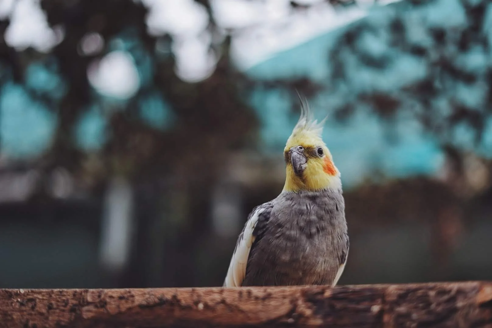 2018-11-11 04.20.13 3.jpg