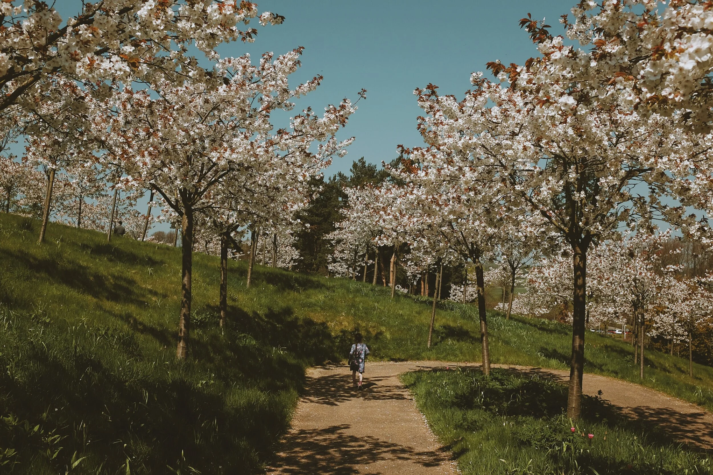 2016-08-05 03.49.42 1.jpg