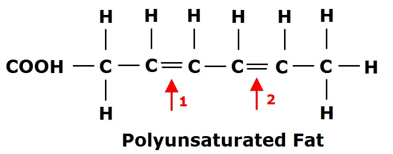Figure 2: Notice there are Carbons (C) in this chain that are missing a Hydrogen (H) and can be seen to have a 'double bond' to another Carbon. There is more than one of these double bonds making this a poly-unsaturated fatty acid (PUFA). If there was only one it would be a mono-unsaturated fatty acid (MUFA). 