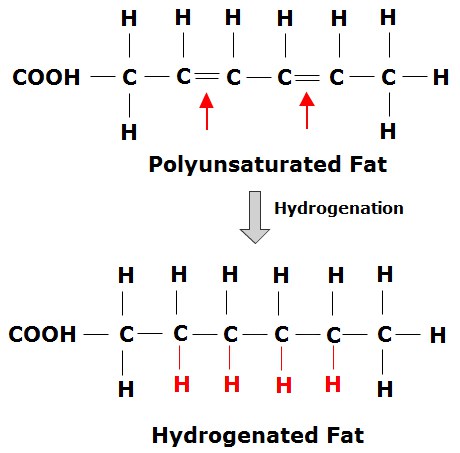 Figure 1: Hydrogenated trans fatty acids. Here you can see how the red Hydrogens (H) have been artificially added to the free Carbons (C) in the top chain converting the PUFA fatty acid into trans fat. 