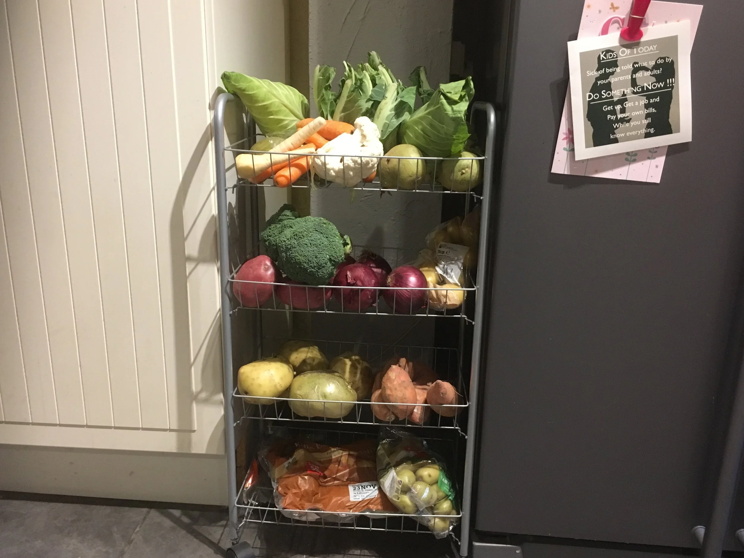 Figure 3, My veggies: Place your vegetables somewhere on show, somewhere you pass and see regularly, next to the fridge for example. Make vegetables more attractive to cook with by making a nice display of them. Be proud of your veggies!