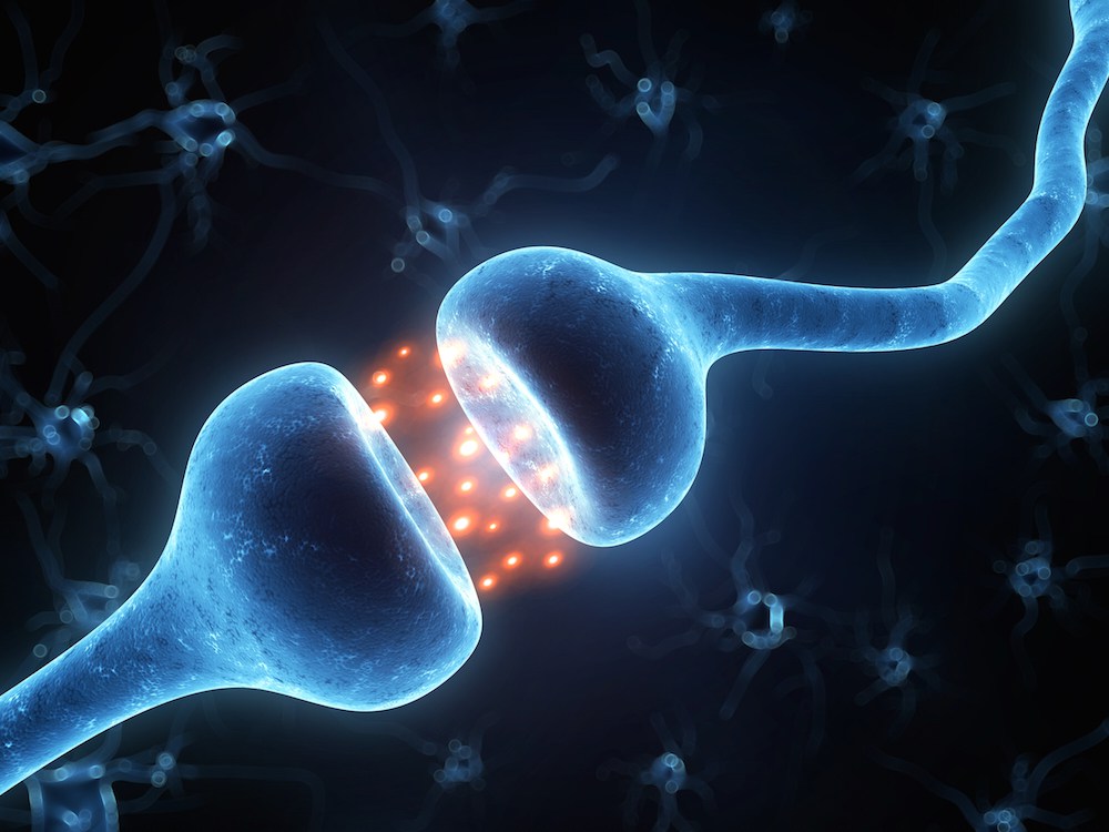 Central sensitisation occurs in the synapse of the dorsal horn.