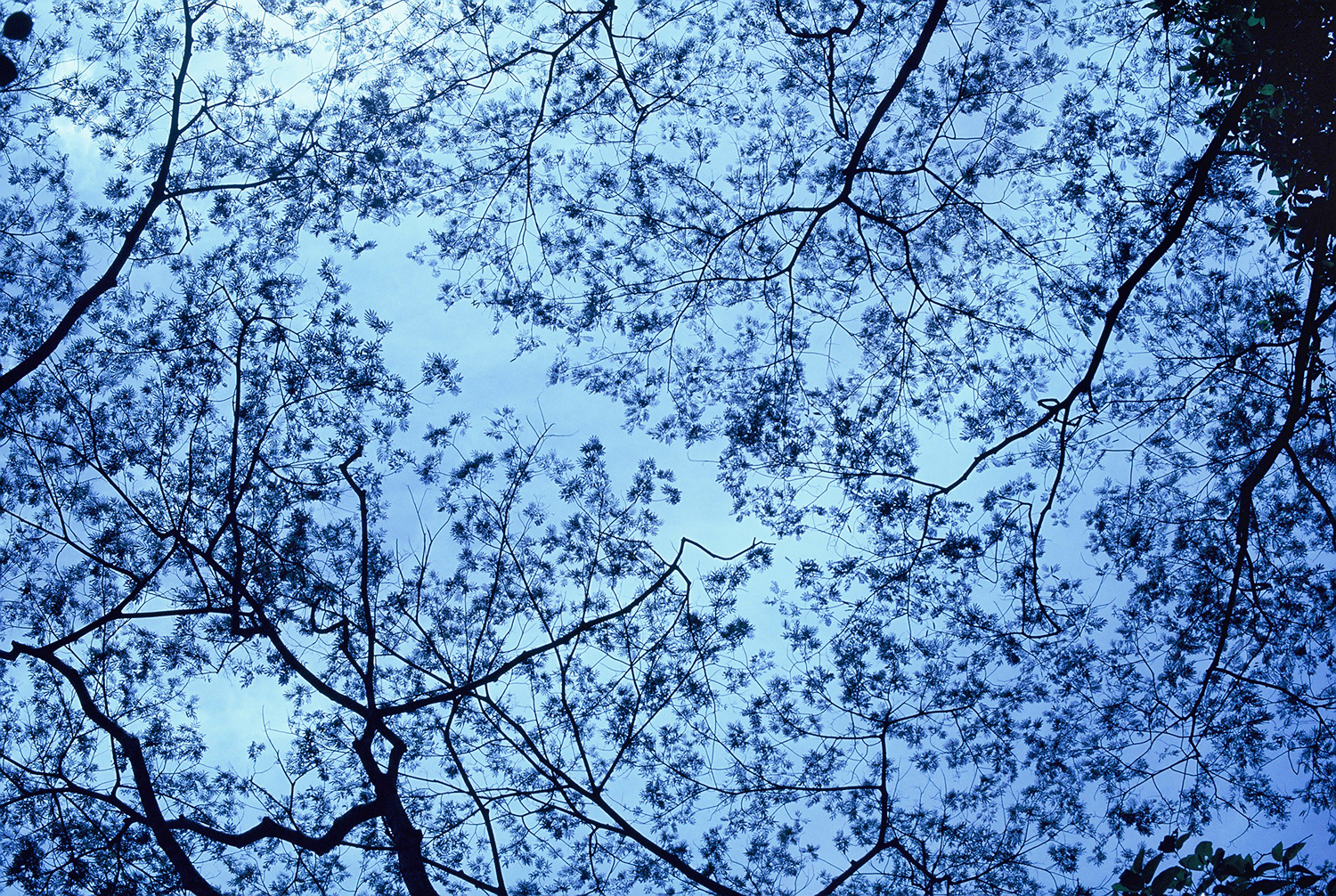 2 Minute Meditation Practice