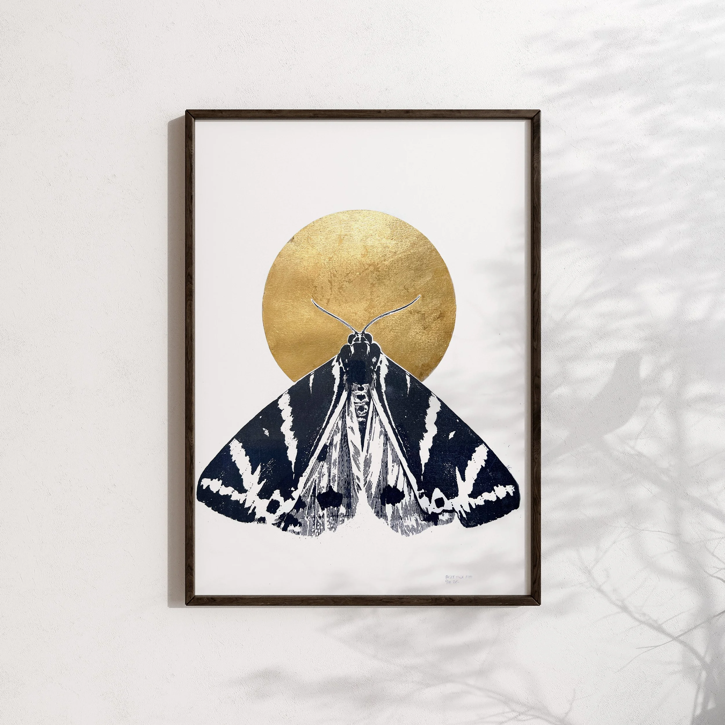 tiiger moth large framed.jpg