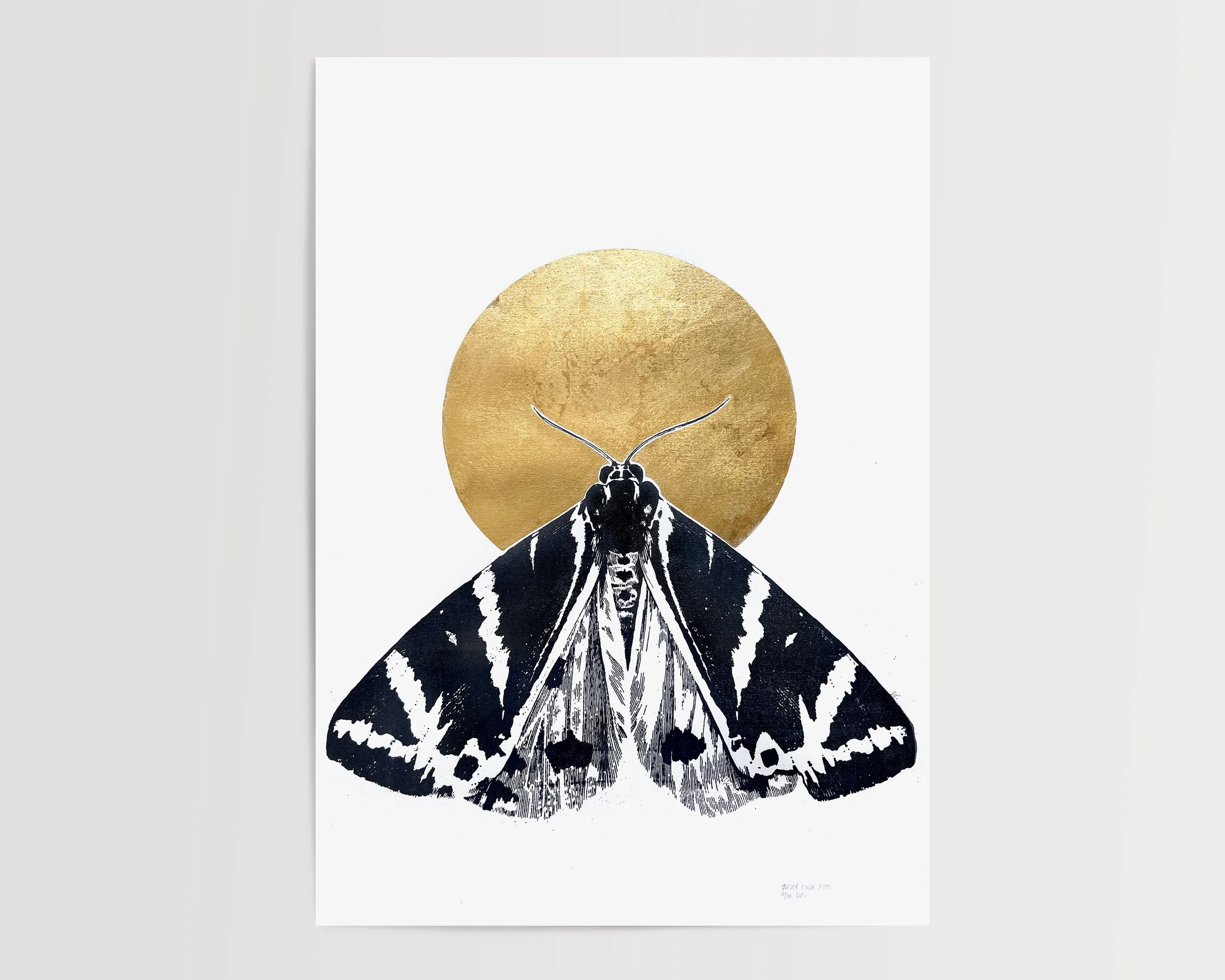 large moth on gold.jpg