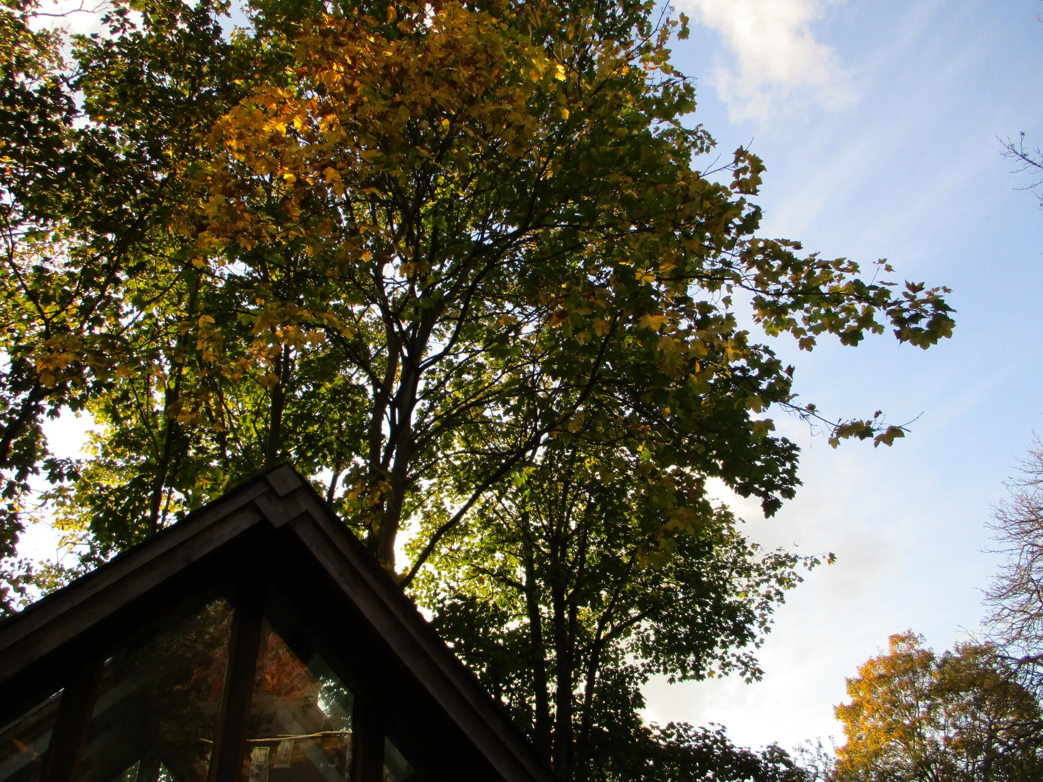 garden studio 09.jpg