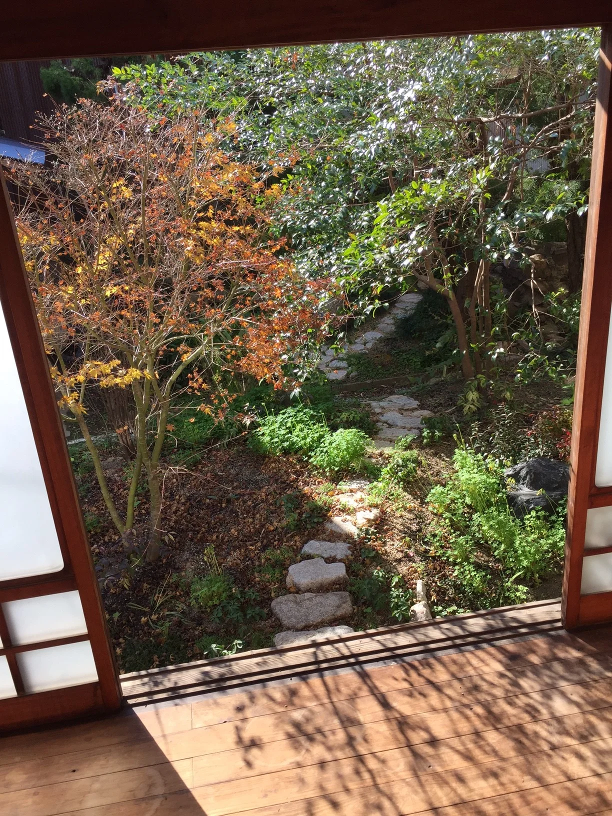 Sashima 05.jpeg