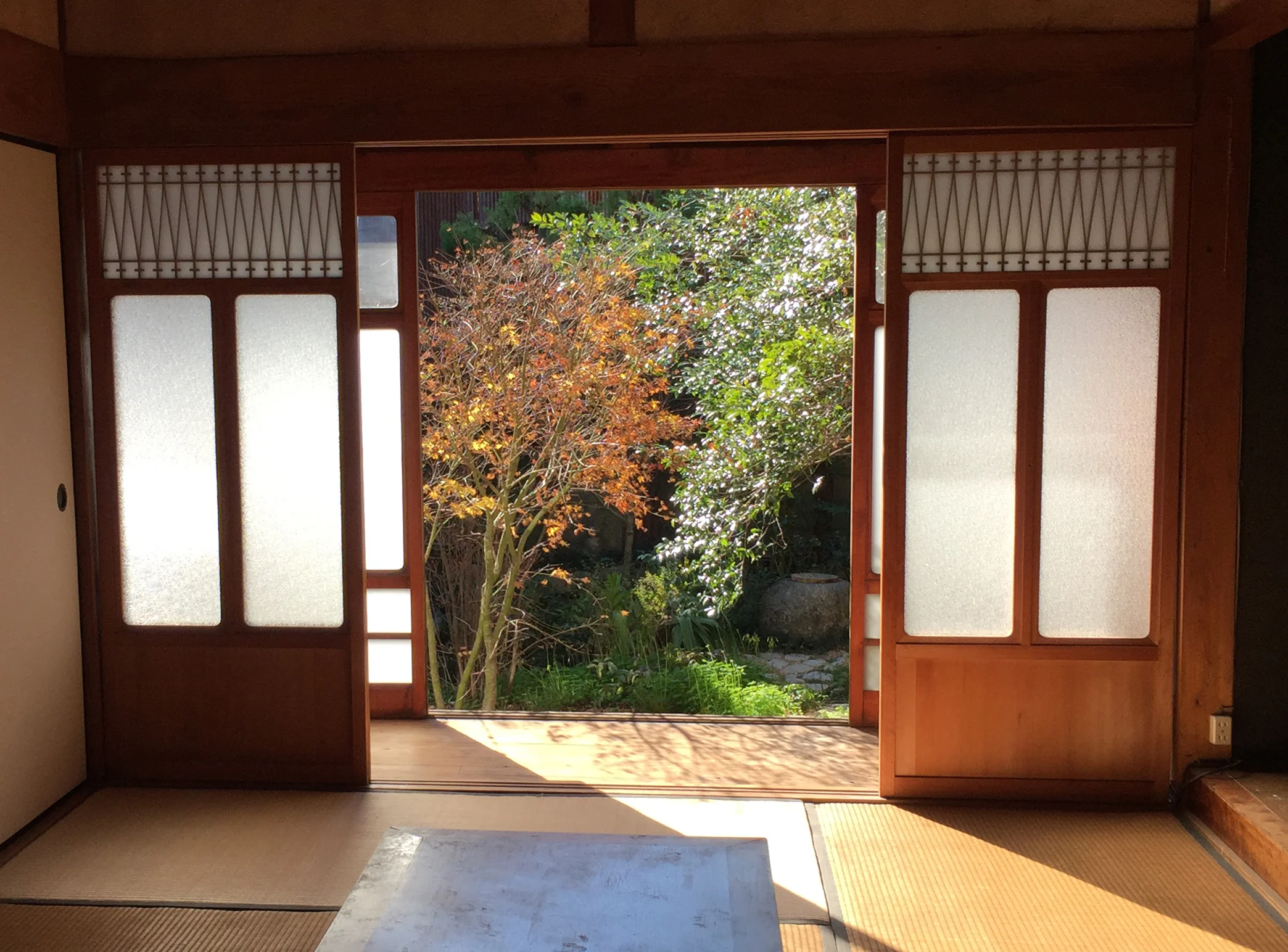 Sashima 04.jpeg