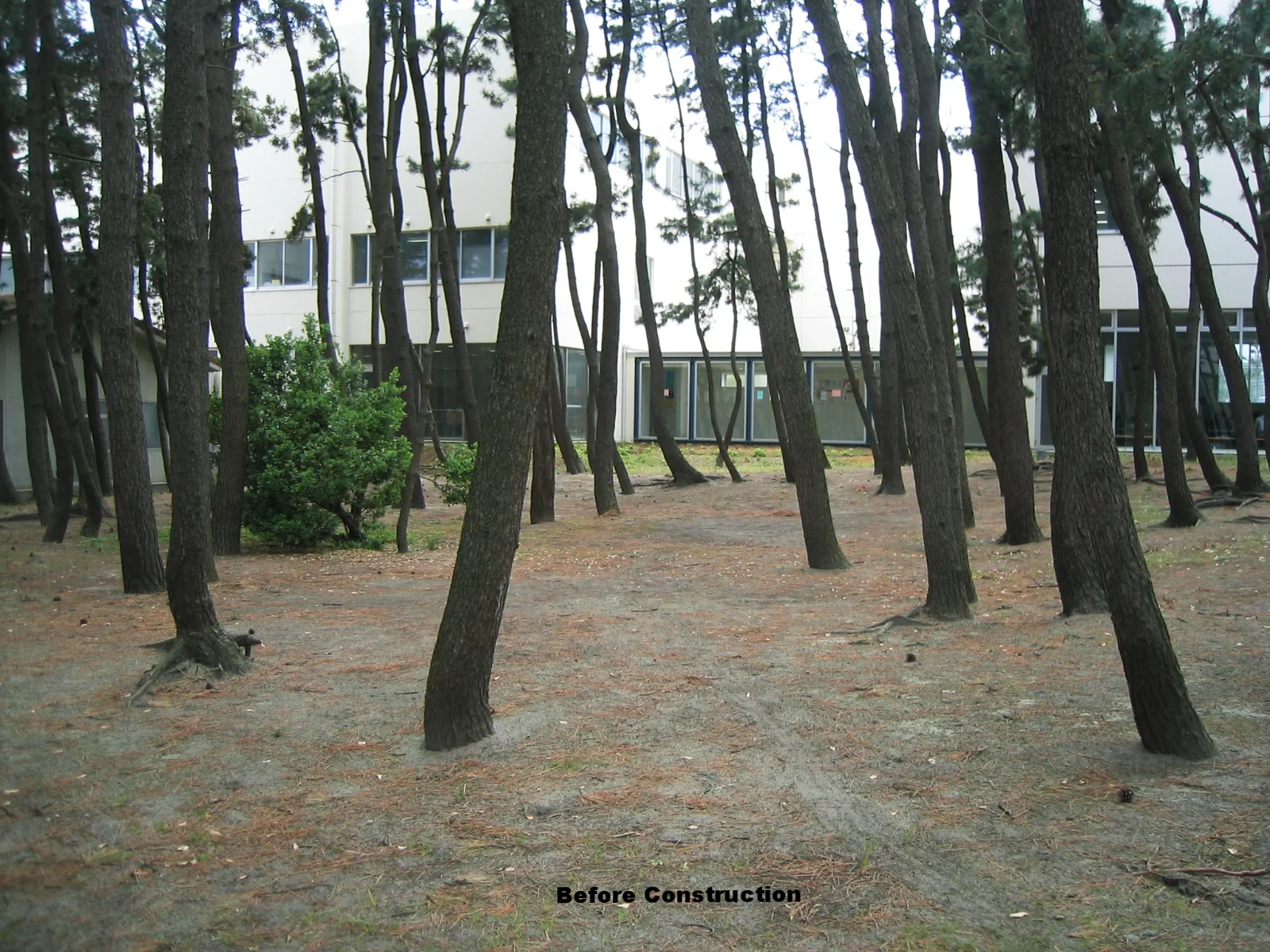 before construction.jpg